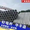 Fabricante de Shaanxi 10.12m Poste Eléctrico Pretensado Ingeniería Poste Eléctrico de Cemento Poste Eléctrico de Hormigón Pretensado