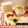 Marmitas Biodegradáveis Descartáveis de Amido de Milho com Quatro, Cinco ou Seis Compartimentos para Viagem, Grau Alimentício, Seguras para Micro-ondas