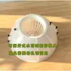 Samambaia de Galhada Placa Superior Bola de Musgo Esfagno Ferramenta de Fazer Molde Modelo de Fazer Bola de Musgo Esfagno Bola de Musgo Esfagno 7 Estrelas