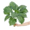 Planta Verde Artificial Hoja de Tortuga 12 Cabezas Alocasia Rama Alta Arreglo Floral Rama Decoración de Paisajismo Hoja Biónica Flor Falsa Rama Única