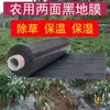 Filme de controle de ervas daninhas agrícola preto, totalmente preto ou prateado-branco, para isolamento e retenção de umidade, usado para o cultivo de frutas e vegetais
