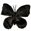 Cabeza de Flor de Mariposa de Goma Suave de Plástico, Decoración del Hogar con Flores Artificiales, Arreglo de Boda, Adornos al por Mayor, Decoración de Mesa para Exteriores
