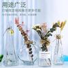 Barraca de Vaso de Vidro Simples Criativo Cone Hidropônico Planta Gota de Chuva Vaso Pequeno Vaso Vaso Ornamentos Aparelho de Flor