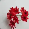 Sementes, Flores, Flores Eternas, Flores Secas Artesanais, Kit de Material DIY, Arranjo de Flores em Vaso, Flores Naturais Reais, Adereços para Fotografia, Plantas Estilo Ins
