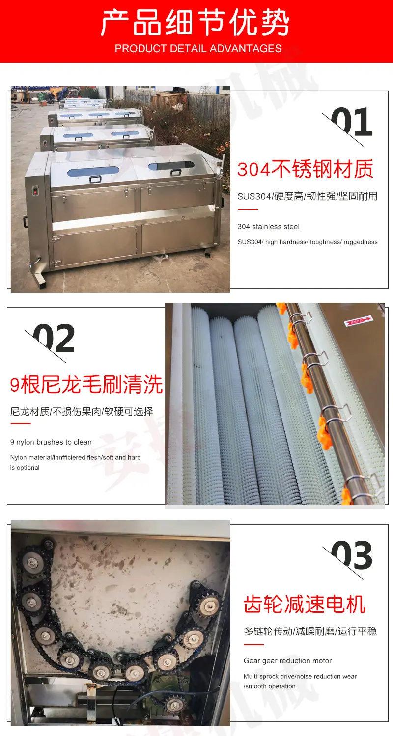 毛刷去皮清洗机_03.jpg