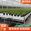 Invernadero Móvil para Plántulas de Marea Cama Móvil para Plántulas de Marea Siembra de Verduras y Flores Maceta Móvil para Plántulas Cultivo