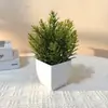 Vaso quadrado com borda cruzada, planta artificial verde bonsai, planta artificial de plástico decorativa para casa, sala de estar, escritório ou mesa.