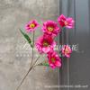 Estilo Europeo 6 Flores de Mariposa Peonía Azalea Flores de Boda Accesorios de Fotografía Decoración Flor Artificial Hecha a Mano Arreglo Floral