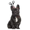 Halloween Transfronteiriço Engraçado Paródia Animal de Estimação Cão Gato Pequeno, Médio e Grande Roupas de Cachorro Suprimentos de Decoração Adereços de Cabeça para Animais de Estimação