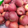 Yunnan Zhaotong Manzana Fea Corazón de Caramelo Fruta Fresca Paquete de Temporada Franqueo 5.00kg Red Fuji Ugly Pingles