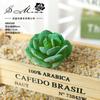 004 Cabeza de Flor de Planta Suculenta Verde Afelpada Suministros Creativos para Bricolaje Accesorios para Colgar en la Pared Decoración de Flores para el Hogar Planta Verde Shangyi