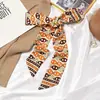 Bufanda Pequeña de Seda para Mujer Estilo Coreano Versátil Letra Geométrica Cinta Diadema Larga Estrecha Elegante de Moda Bufanda Decorativa Multifuncional