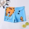 Calções de banho infantis novos personalizados, fatos de banho para meninos, calções de banho boxer para bebés com estampa de desenhos animados para crianças pequenas, médias e grandes, de secagem rápida