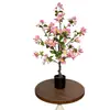 Flor de Camélia Artificial, Bonsai de Flor Artificial, Planta de Duplo Propósito, Flor de Peônia, Buganvília, Decoração de Planta Verde para a Entrada, Decoração de Casa