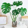 Monstera Hidropónica en Maceta Interior Plantas Verdes Fáciles de Cultivar Sala de Estar Oficina Grande Celebridad de Internet Estilo Tropical Escandinavo Pila Vieja
