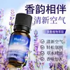 Óleo Essencial de Aromaterapia para Dormir Han Ji Lavender Umidificador de Quarto Fragrância Duradoura Auxílio Calmante para o Sono Óleo Essencial Herbal para Paz de Espírito