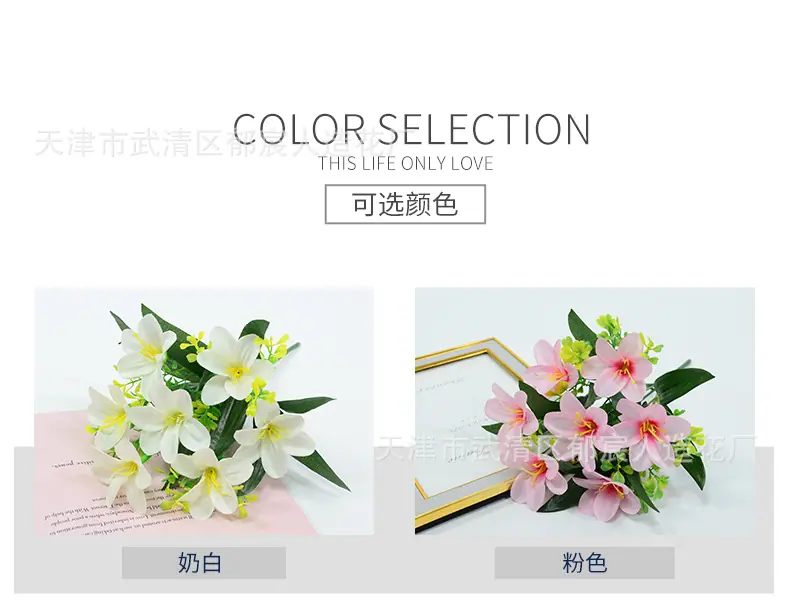 详情_02.jpg