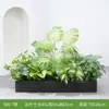 [Serie X80] Maceta Combinación Plantas Verdes Macetero Caja de Flores Flor Artificial Decoración Floral Planta Artificial Decoración de Paisaje Interior y Exterior