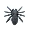 3Dct110 Transfronteiriço 3D Estéreo Aranha Magnética Ímã de Geladeira Decoração de Halloween Criativo Desenho Animado Magnético Ímã de Geladeira
