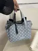 Bolso de moda, bolso pequeño, nuevo bolso de hombro casual de verano 2026, bolso Boston, bolso pequeño, bolso de lunares de nicho