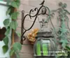 Suporte de planta de parede jardim varanda decoração externa pássaro retrô ferro forjado flor parede rolamento suporte Gancho