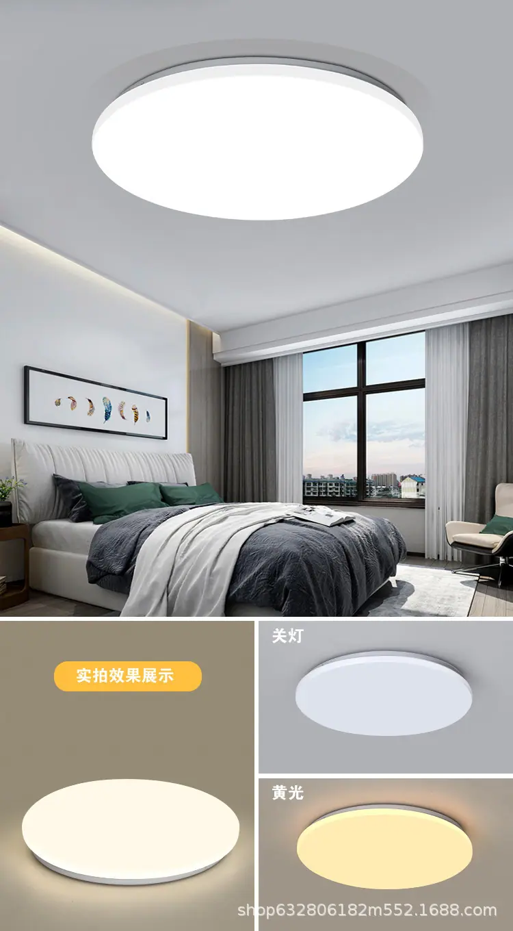 B全白.jpg