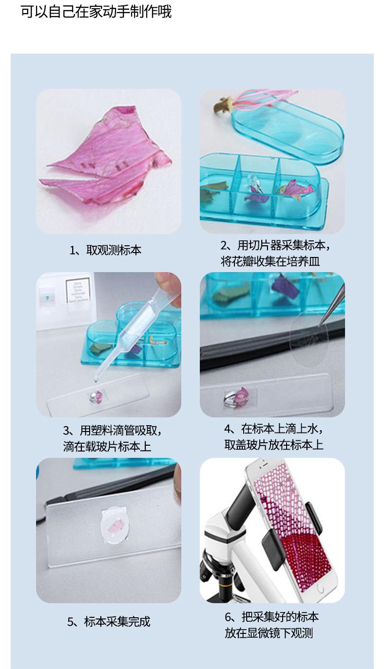 详情6.jpg