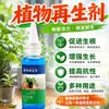 Agente de regeneración de plantas líquido de resurrección flor planta verde en maceta universal barra de luz amarilleamiento árbol de la fortuna solución nutritiva para crecimiento carnoso