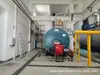 Caldera de Vapor Horizontal para Cría Combustible Gas Carbón Calefacción Agua Caliente Caldera de Baño Gas