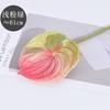 Flor Artificial Tianjin Flor de Boda Anturio Artificial Hogar Planta Verde en Maceta Cinta Decorativa Anturio Impreso en 3D Flor Artificial
