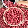 Nuevos Cacahuetes de Piel Roja 2024 Paquete de 2.5 kg Sabor Original Cuatro Cacahuetes Crudos Rojos con Cáscara Cacahuetes de Piel Roja a Granel