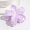 Pinza de Mariposa de Doble Capa Gradiente Dulce Elegante Sizzy Versátil para Mujer Pinza de Garra para el Cabello de Disco de Nicho de Moda Accesorios para el Cabello