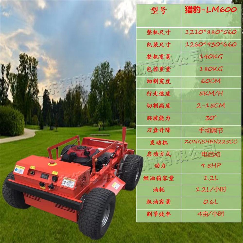 mtxx01