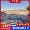 Geomembrana de Barragem de Rejeitos Resistente à Corrosão Anti-Envelhecimento Anti-Infiltração 1,5mm Piscina de Lixiviação em Pilha Construção Urbana Geomembrana de PEAD