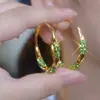 Brincos de Argola Grandes da Moda para Mulheres 2025 Novo Estilo Quente Toque de Luxo Leve Design de Nicho Temperamento Exagerado Emagrecimento Ornamentos de Orelha