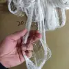 Rede Popular Transparente de Nylon Anti-Abelha e Anti-Pássaro Transfronteiriça para Plantio de Pomares e Proteção Agrícola