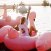 Suministro en stock flotador inflable de cisne de PVC de 190 cm, cama flotante de agua con cuello rugoso para inflar, venta al por mayor