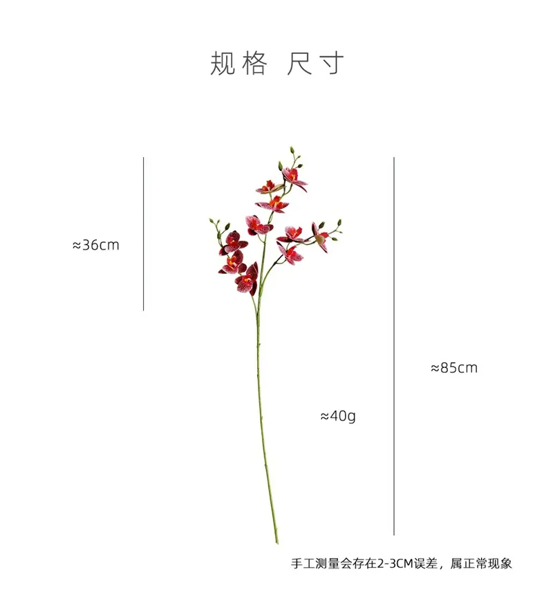 三叉蝴蝶兰详情5.jpg