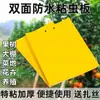 Pegatinas Trampa de Insectos Adhesivas de Doble Cara Fuerte Matanza Insectos Pequeños Voladores Pegar Moscas de la Fruta Señuelo Trampa Artefacto Capturar Mosquitos Moscas Invernadero Tablero Amarillo