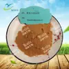 Extracto de Fruta de Pangolín Extracto de Nuez de Cadera Africana 2.5% Fitoesteroles Disponible para la Venta