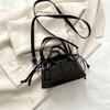 Bolso pequeño de celebridad de Internet para mujer 2023 Invierno Nueva Moda Estilo Occidental Fresco de Mano Cruzado al Hombro Bolso Cuadrado Pequeño
