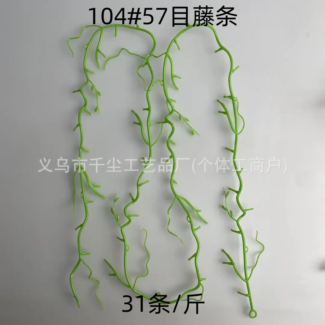 104#57目藤条.jpg