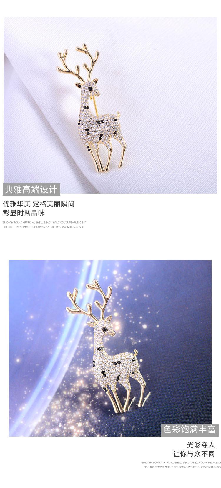 详情2.jpg