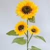 Simulación Día de Abril Girasol Girasol Flor Falsa Flor de Seda Sala de Estar Piso Rama Alta Flor Escenario de Actuación