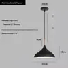 Lustre de Cabeça Única Moderno Criativo para Restaurante Estilo Industrial Lojas de Hot Pot Self-Service Lâmpadas Coloridas Comerciais para Salão de Cabeleireiro