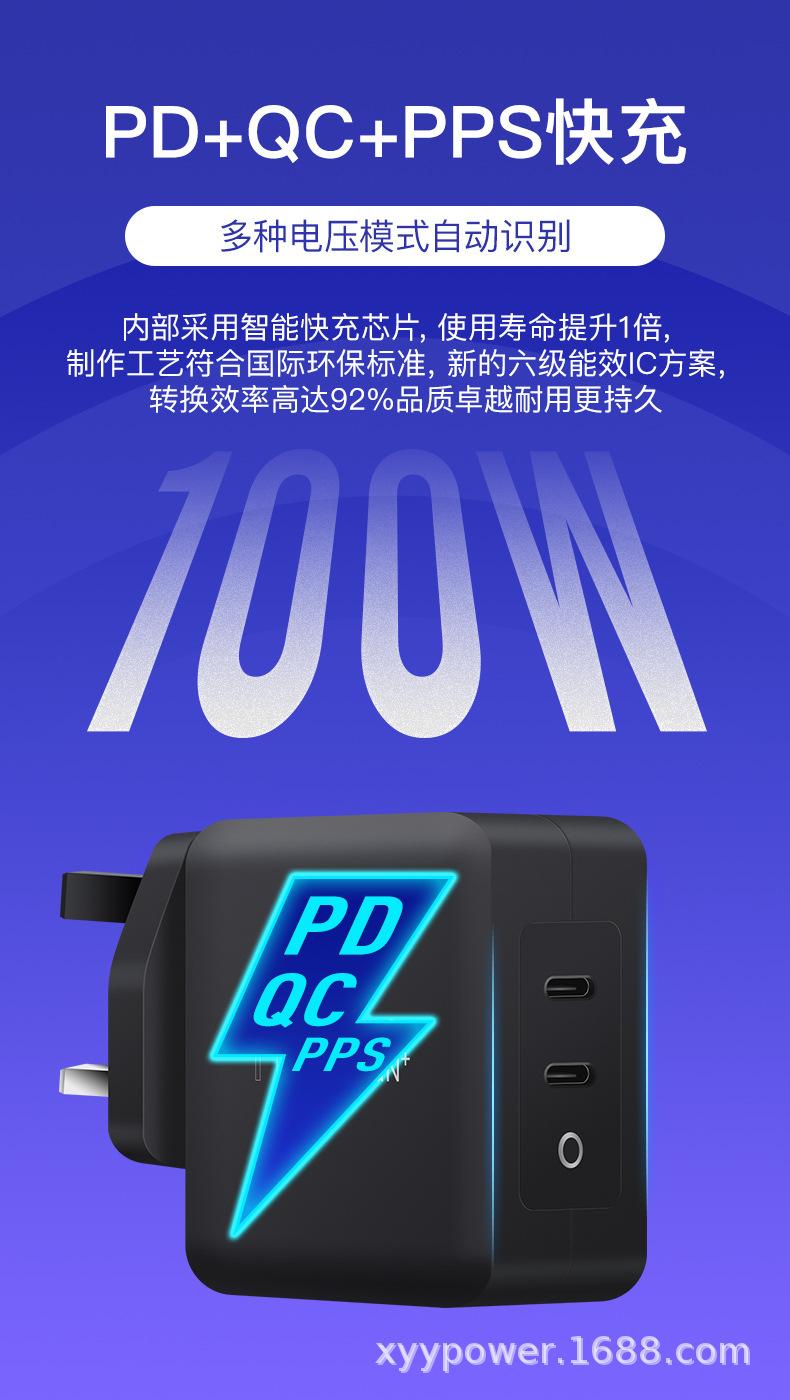 PD100W氮化镓C+C英规