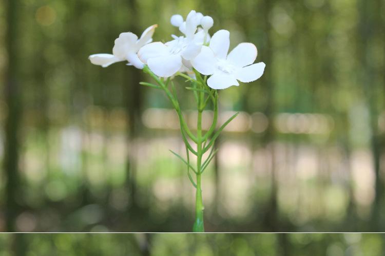 125-花草_05.jpg