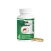 Cápsulas de Cuidado Herbal Docteat Limpieza de Cuidado Suave Confortable Equilibrio Corporal Cápsulas Herbales de Planta