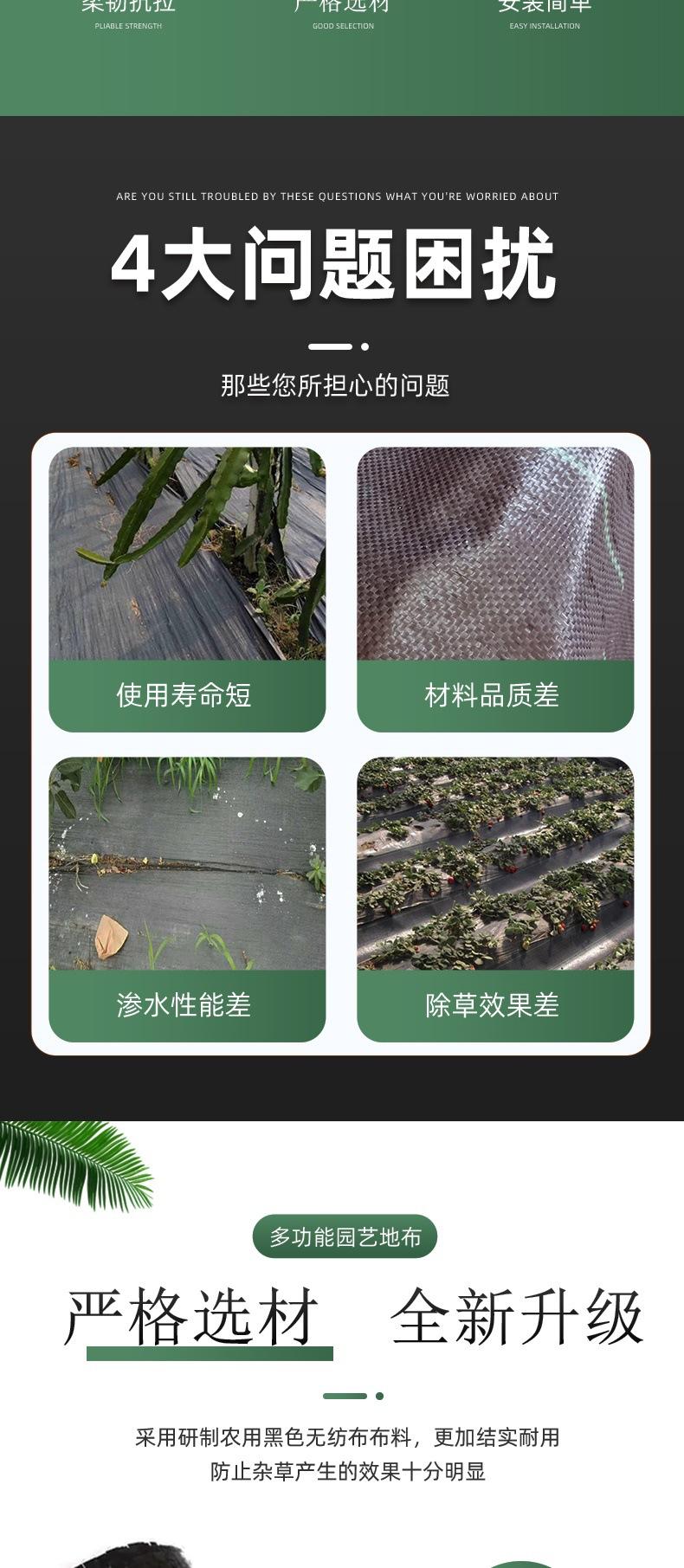 详情(3)_002.jpg