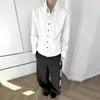 Camisa Listrada Branca com Colarinho Pontudo para Homem, Primavera e Outono, High-End, Luxo Leve, Versátil, Casual, Manga Longa